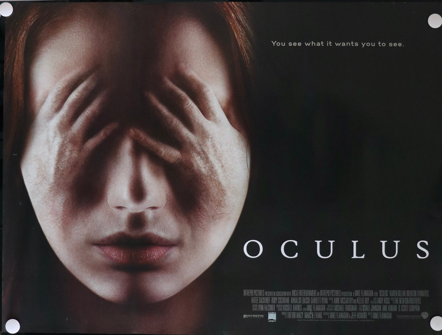 Oculus (2013)