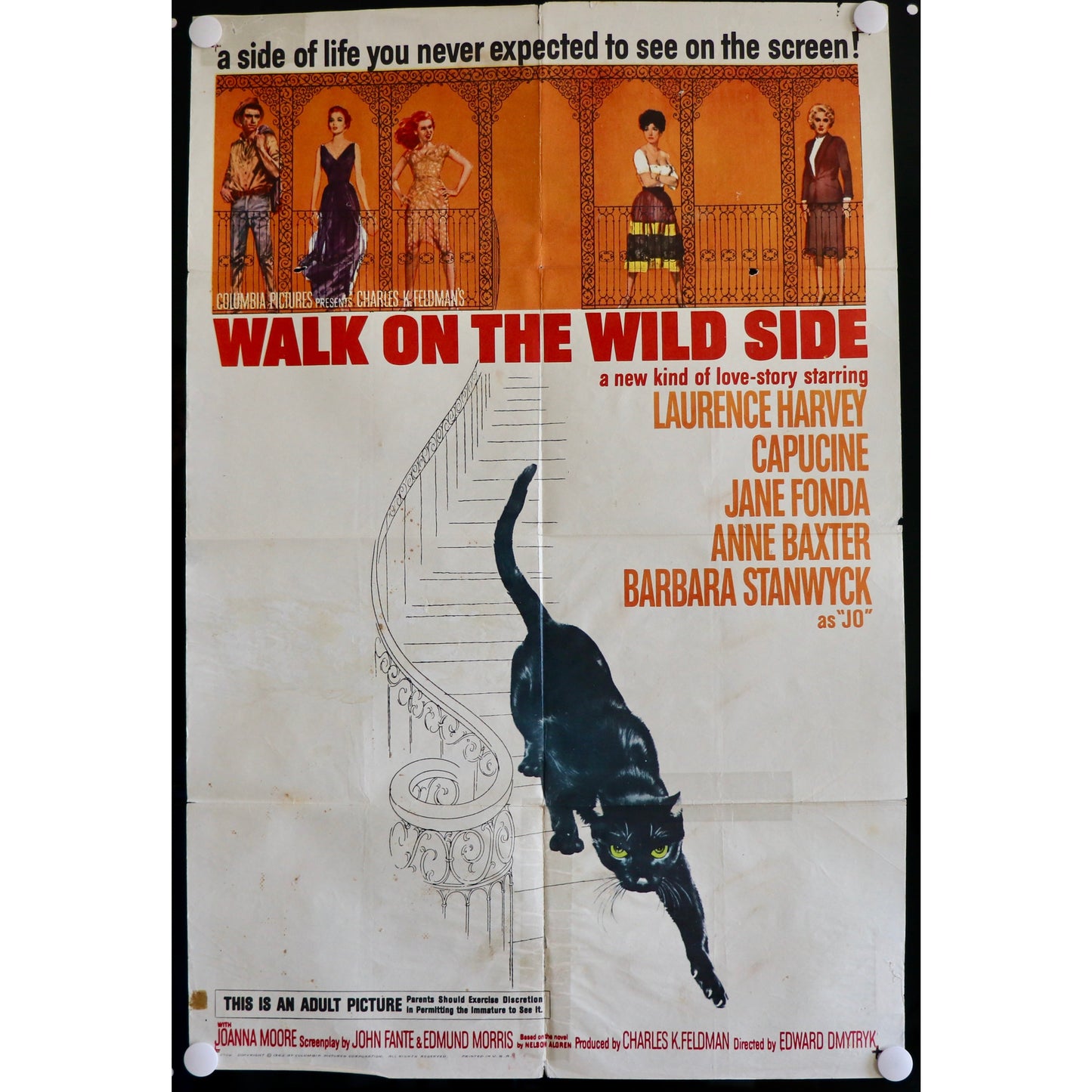 Walk on the Wild Side (1962) Film Poster