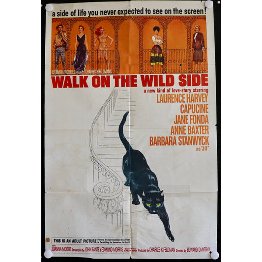Walk on the Wild Side (1962) Film Poster
